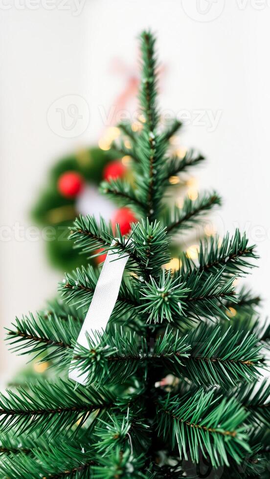 close- a green evergreen tree with a white ribbon photo