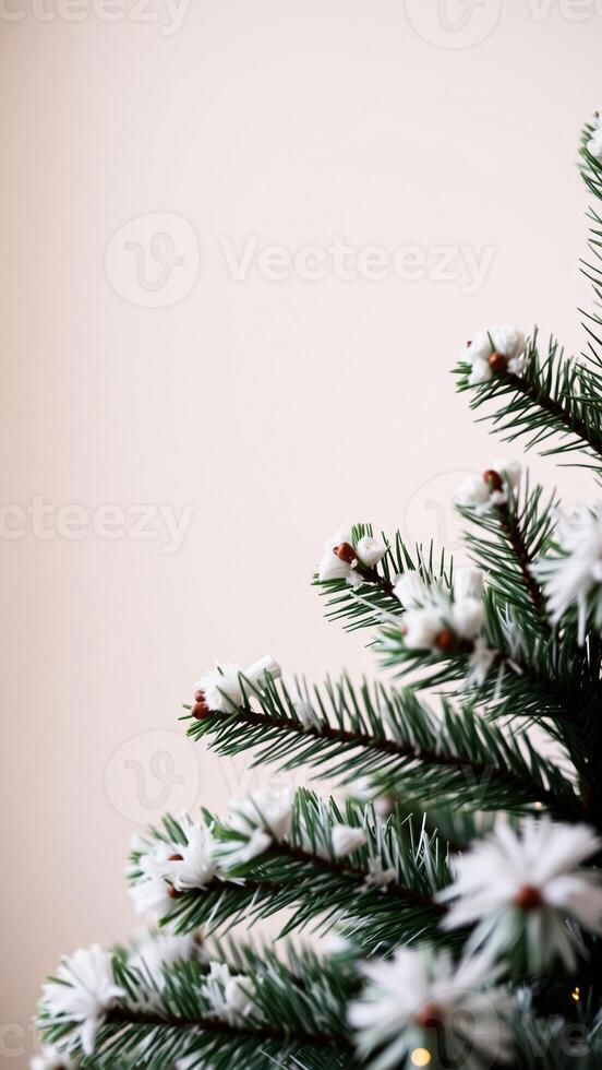 close- a decorated pine branch with white ornaments photo