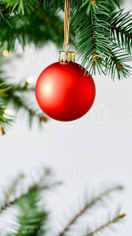 shiny red ornament hangs from a pine branch photo