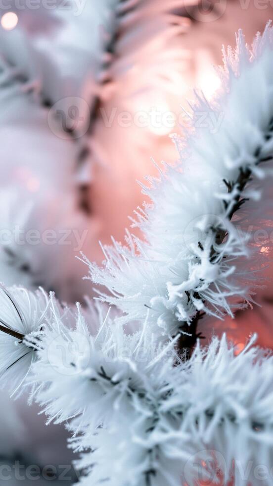 delicate frost enhances a branch with a sparkling glow photo