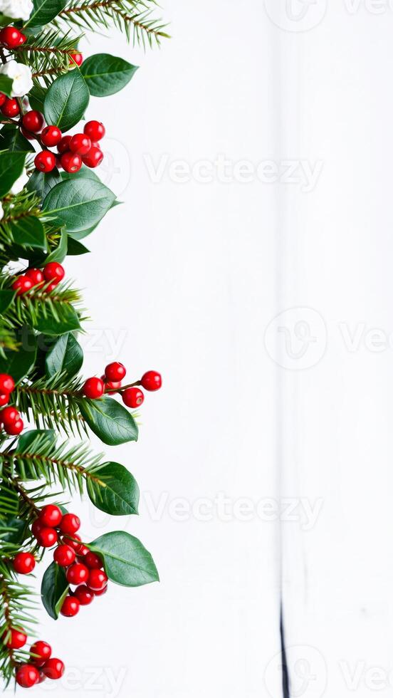 sprig greenery with red berries white blossoms on a white background photo