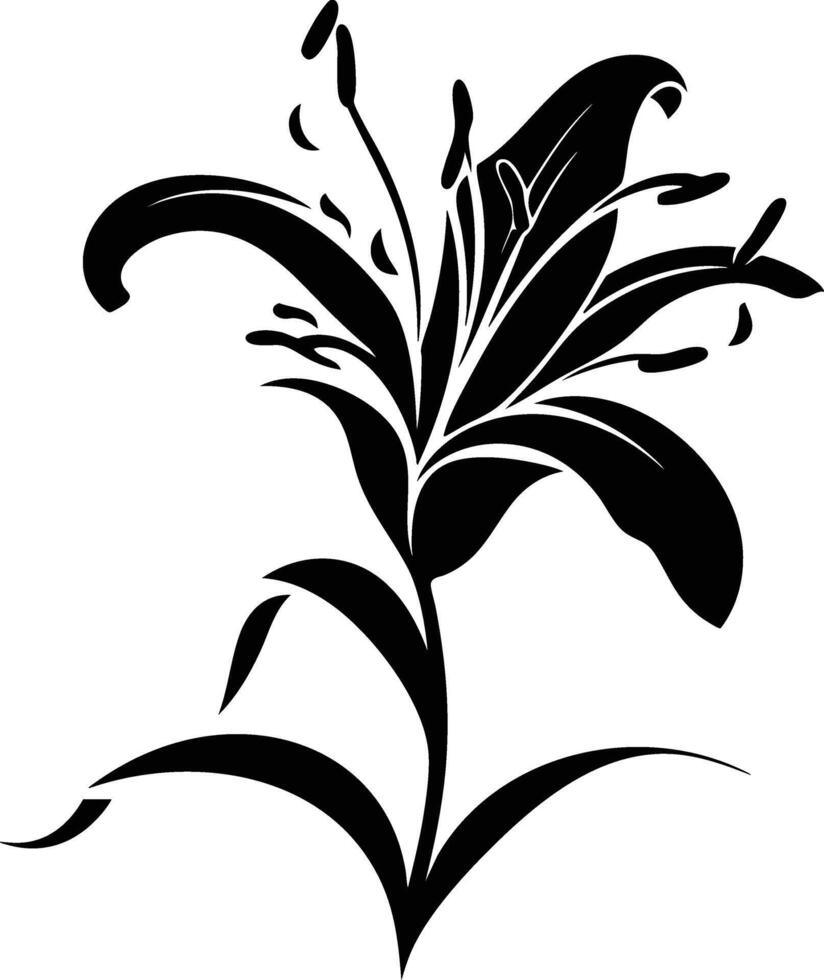 A black and white lily flower on a white background vector