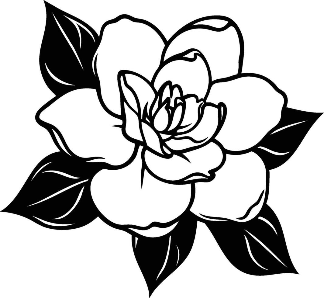 Gardenia flower coloring pages vector