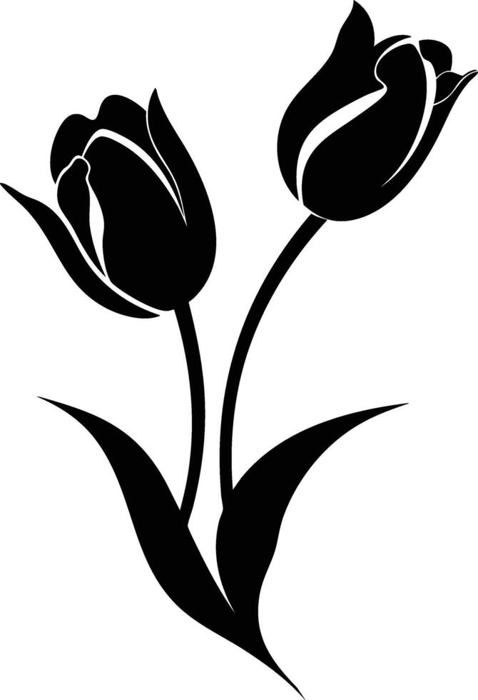 Black tulip flowers on a white background vector