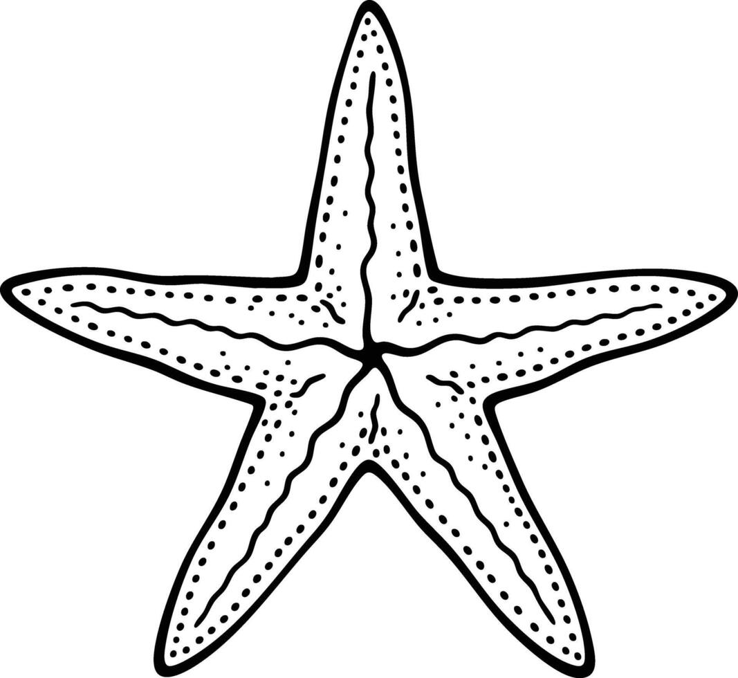 Starfish coloring pages vector