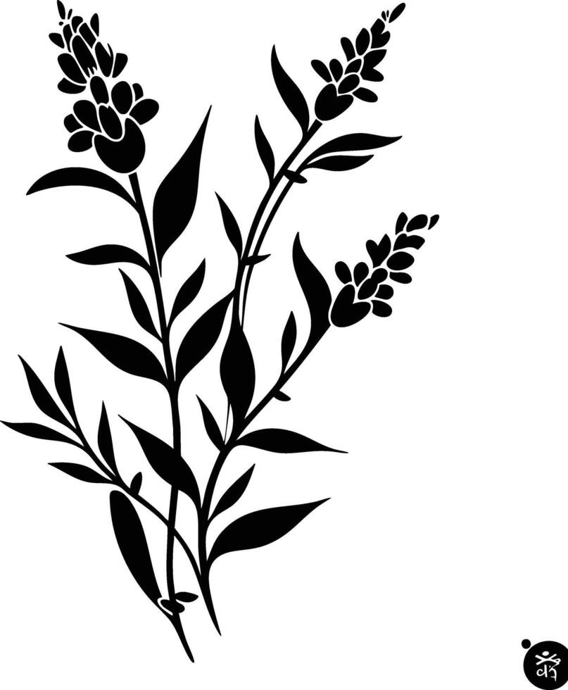 A black and white drawing of a plant with leaves vector