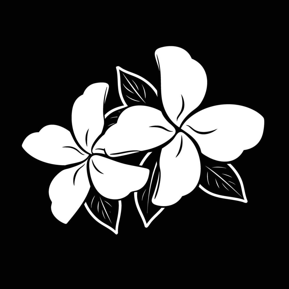 White flowers on black background illustration vector