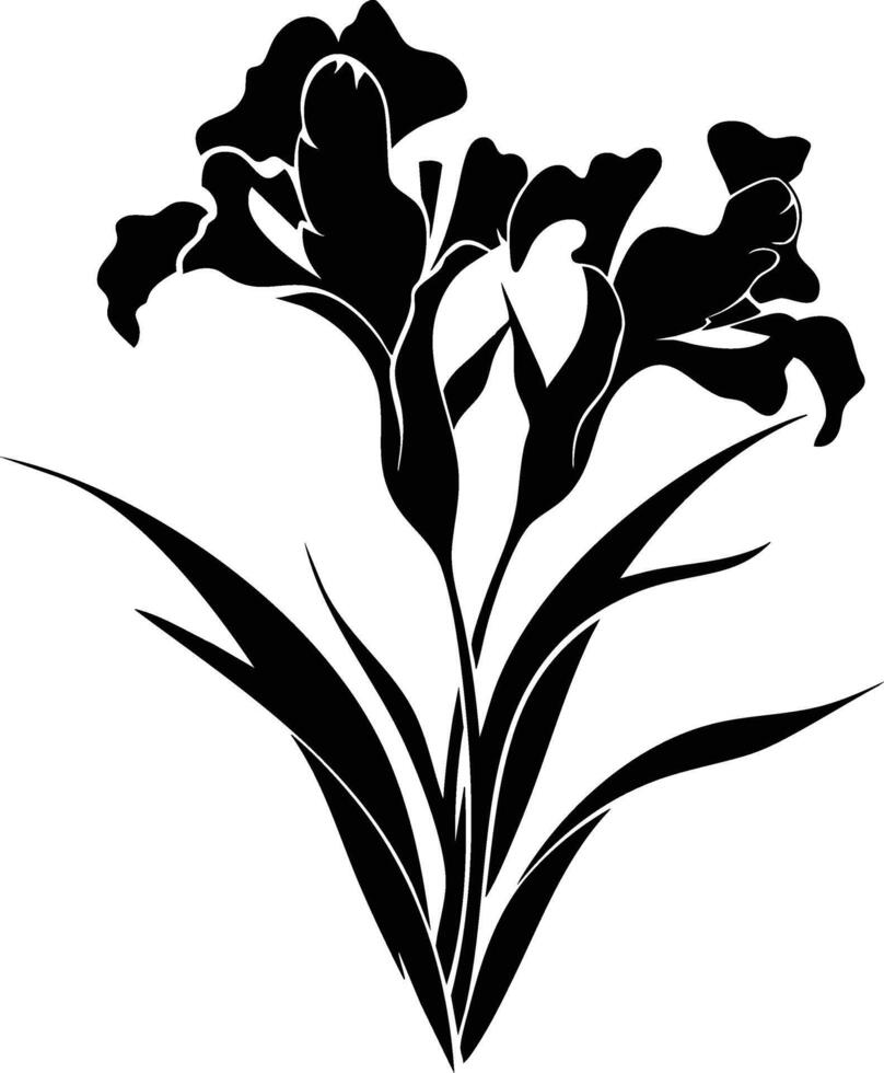 Black and white iris flowers on a white background vector