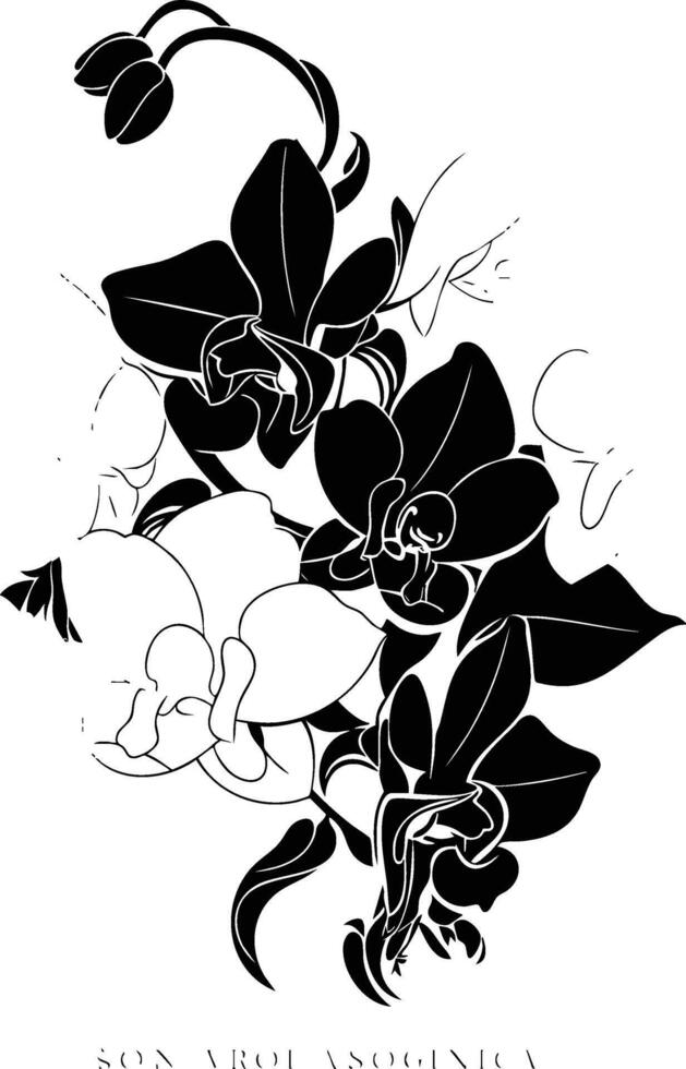 An orchid drawing with the words san antonio vector