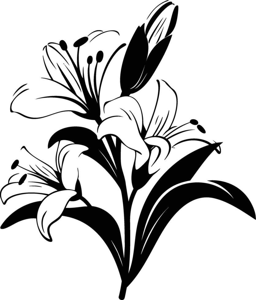 Black and white lily flowers on a white background vector