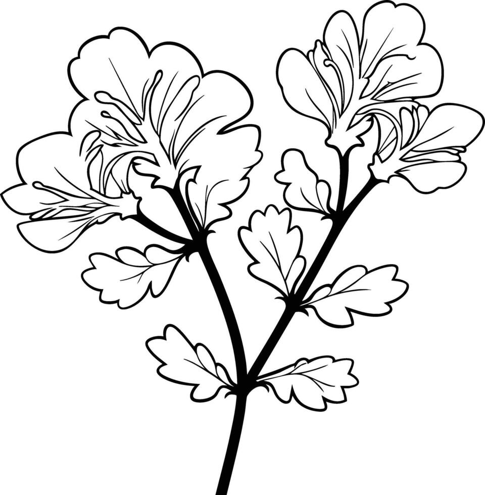 A flower coloring page with leaves and flowers vector