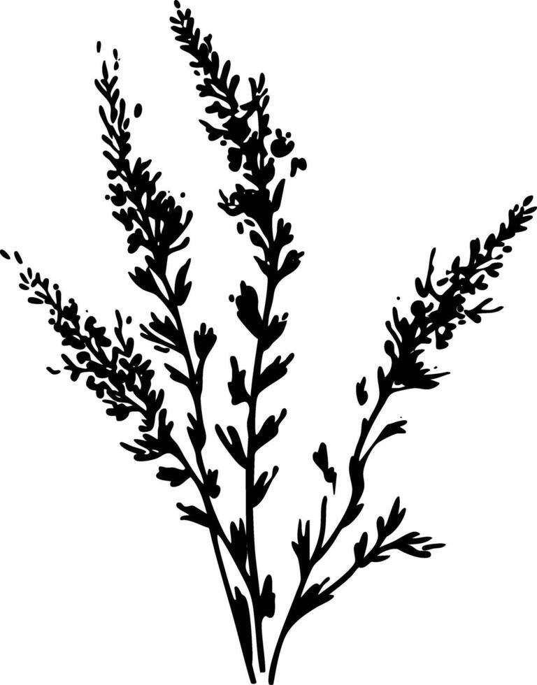 A black and white drawing of a plant vector