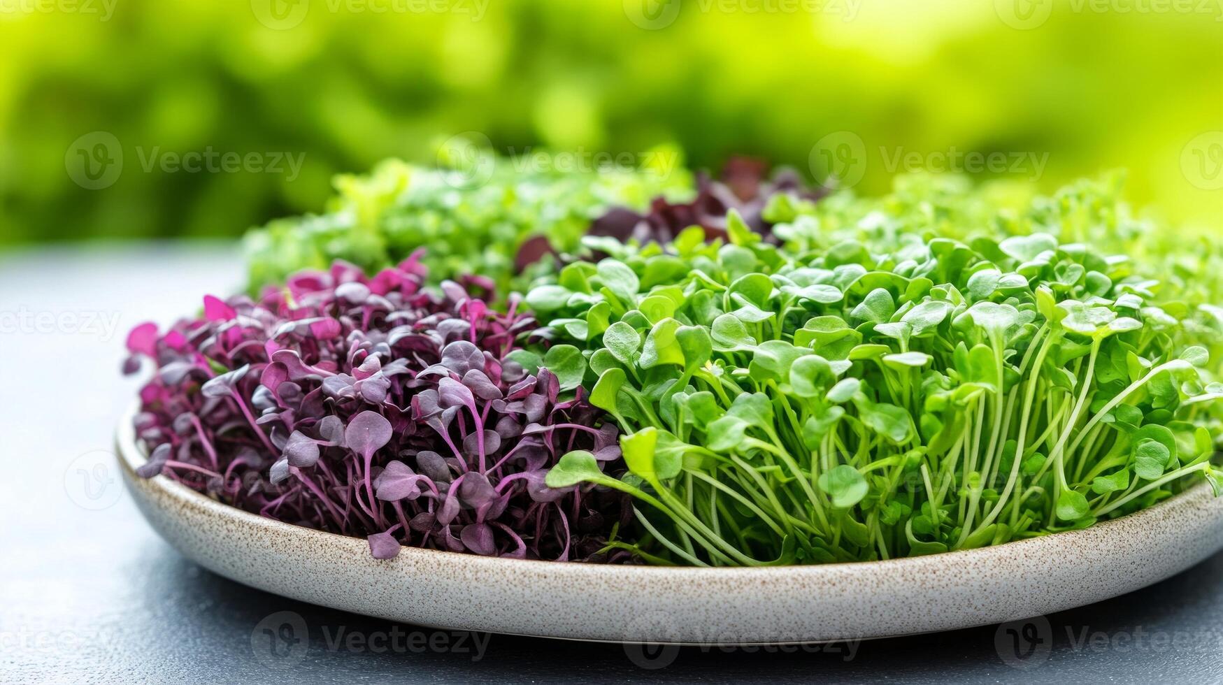 A vibrant assortment of fresh microgreens, including kale and mustard, arranged on a neutral plate photo
