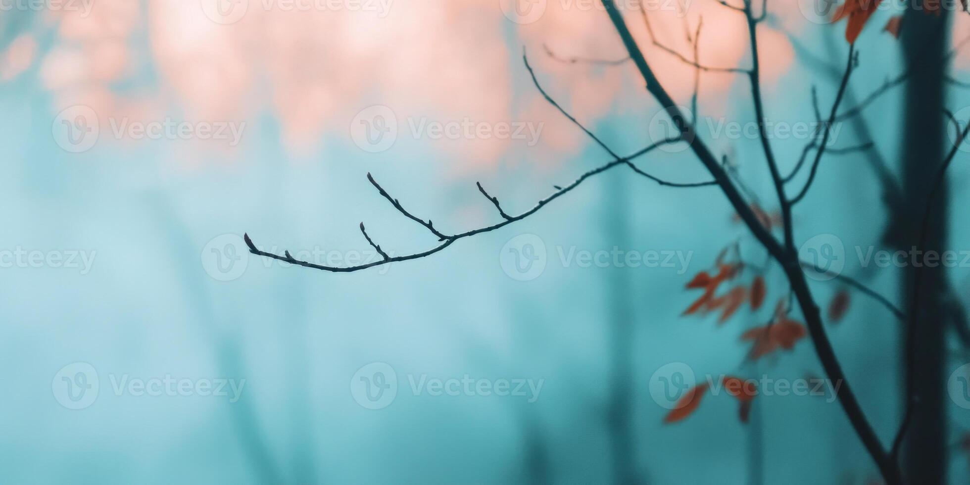 Misty morning in a dense forest with bare trees and warm autumn leaves under a foggy atmosphere photo