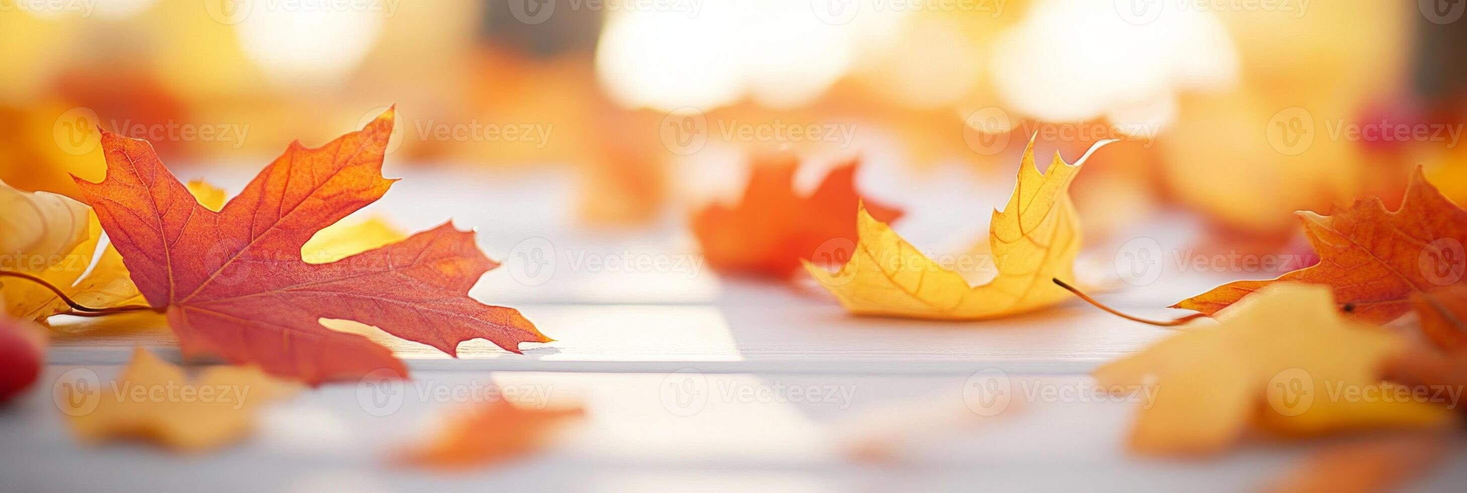 Close-up of vibrant orange and red autumn leaves scattered in soft sunlight on a serene fall afternoon photo