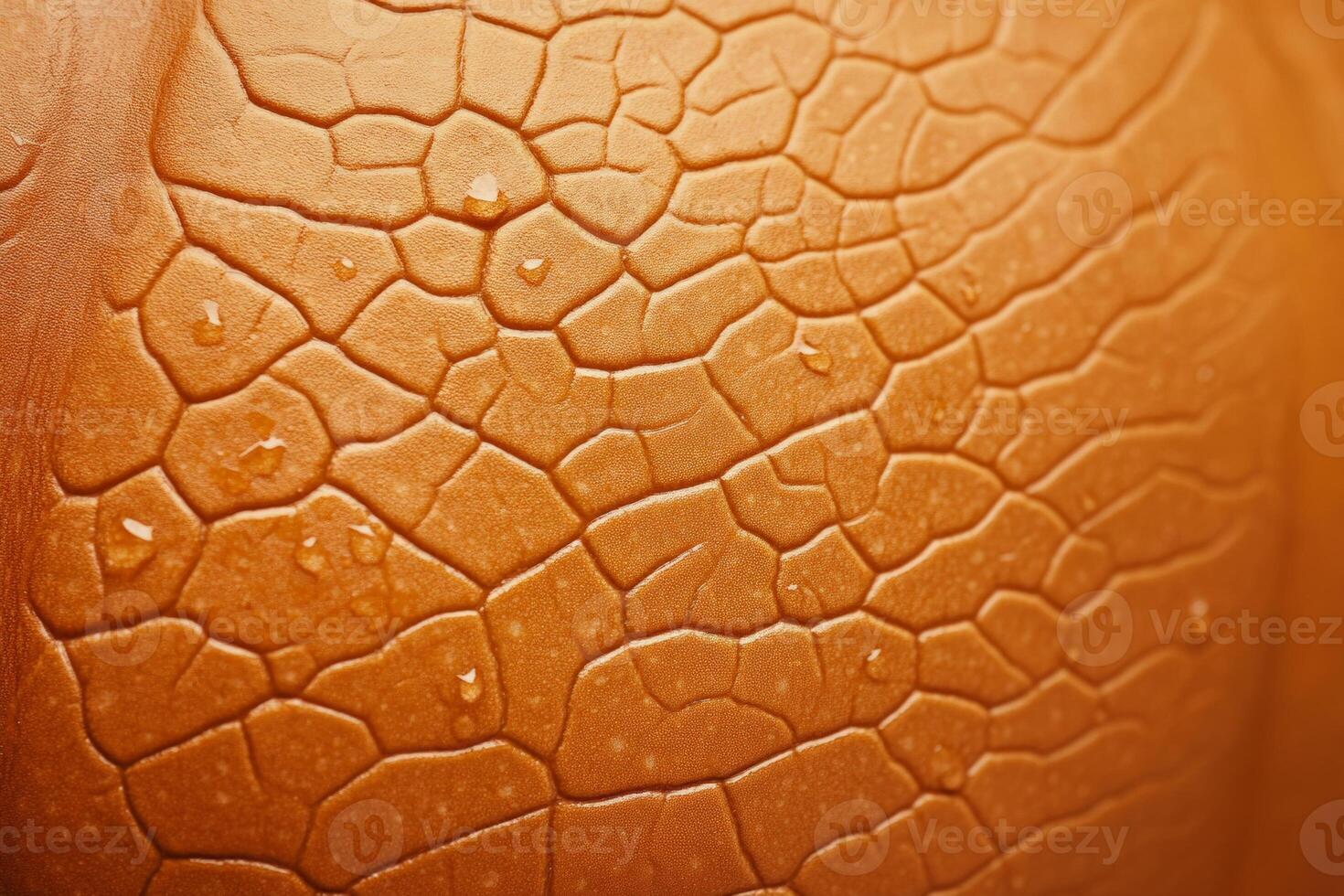 Close-up of textured pumpkin skin showcasing earthy orange tones and intricate patterns in soft lighting photo