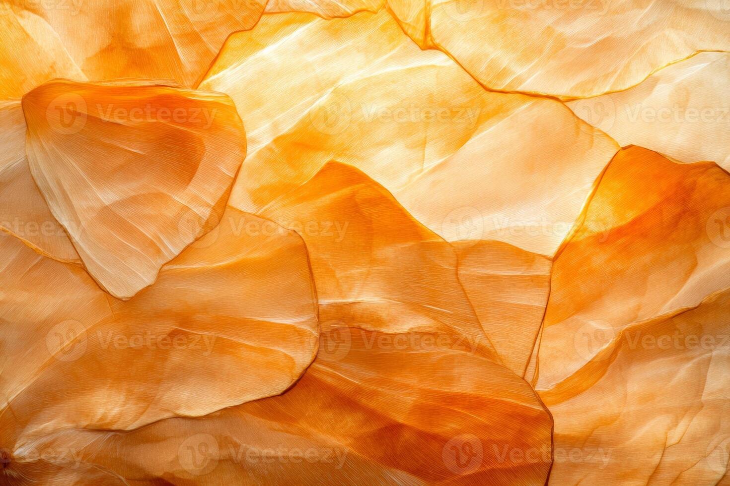 Close-up view of textured pumpkin skin showcasing earthy orange tones and intricate patterns in soft autumn light photo