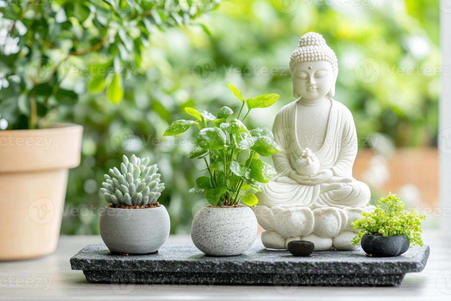 Zen-inspired indoor garden featuring a serene Buddha statue and lush plants in calming surroundings photo