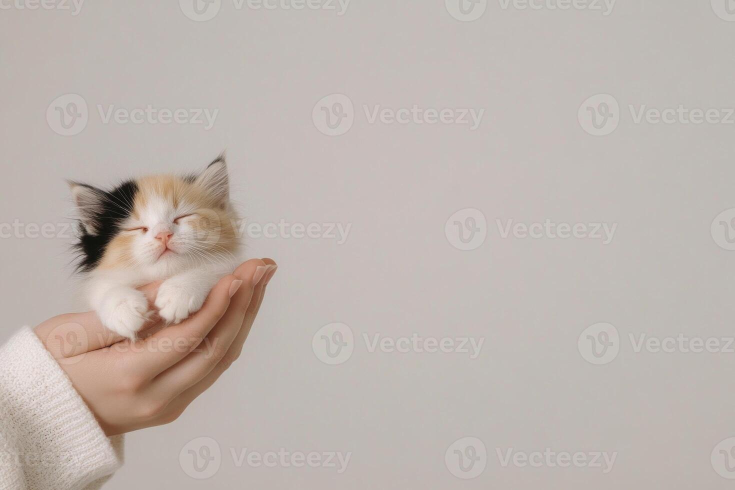 A calico cat relaxes comfortably on a hand against a soft neutral background in a minimalist setting photo