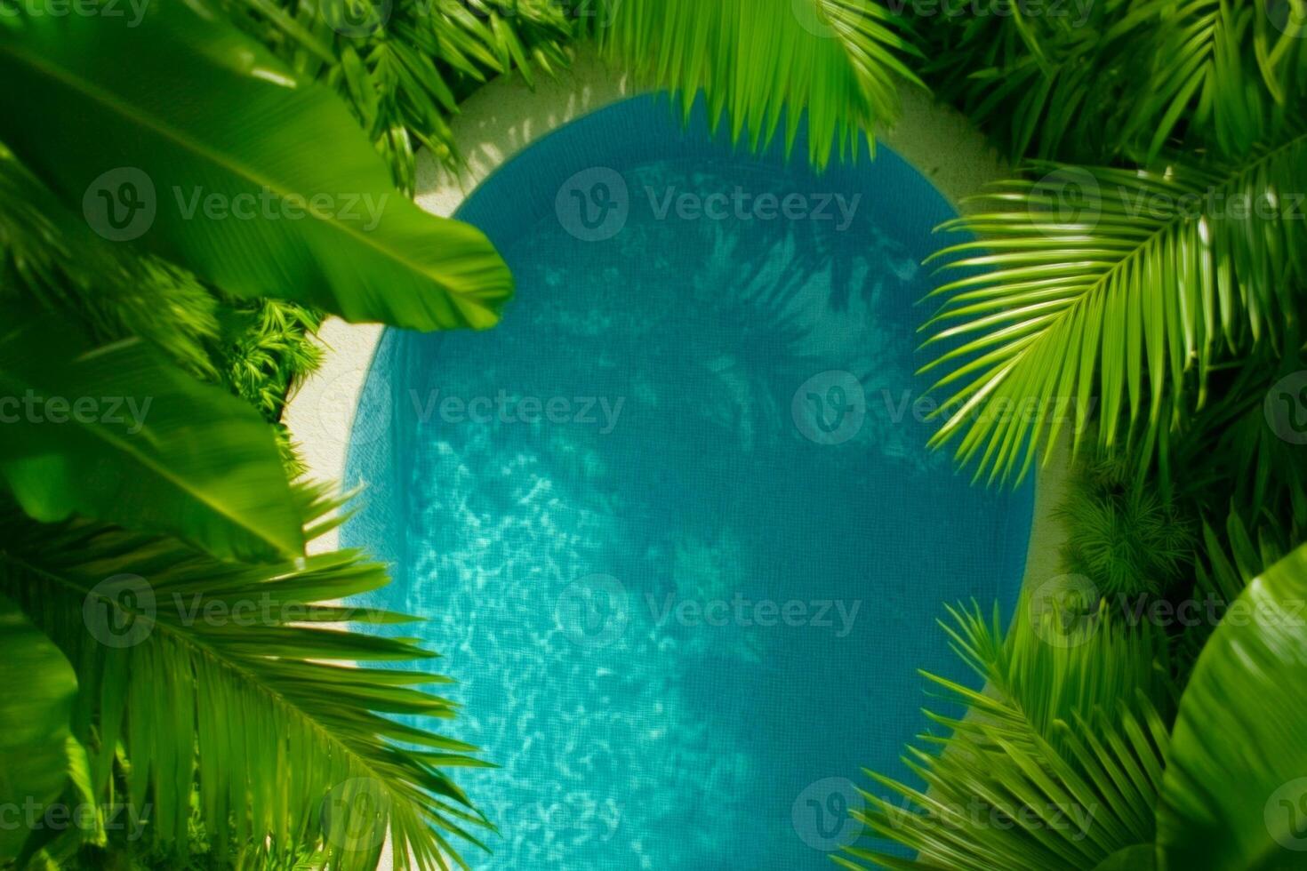 Secluded poolside oasis at a beach resort surrounded by tropical plants and palm trees photo