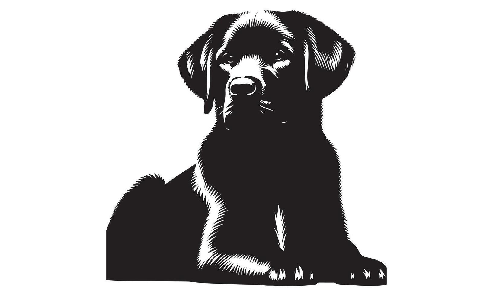 Black labrador retriever dog on white background vector