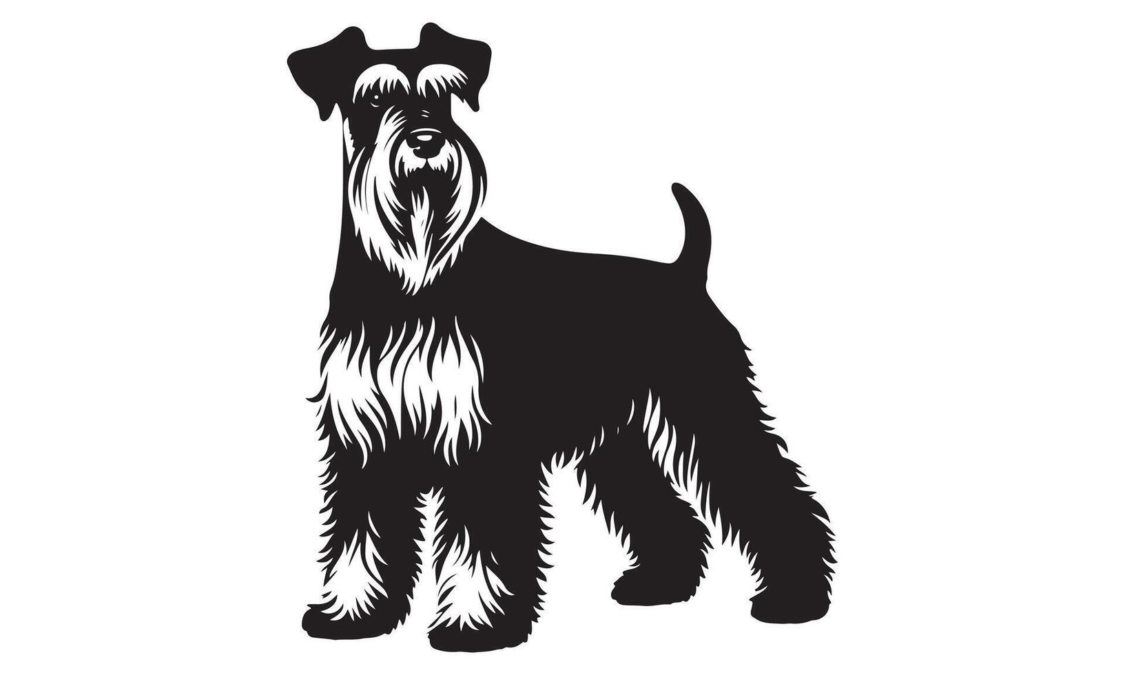 A black and white illustration of a schnauzer vector