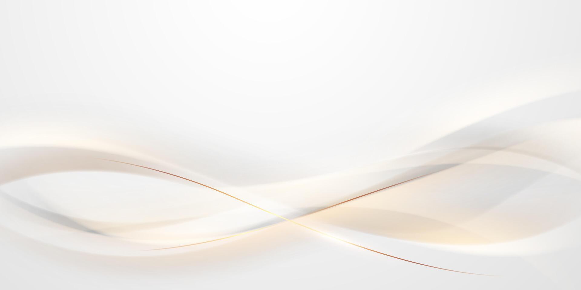 white abstract background with luxury golden lines illustration vector