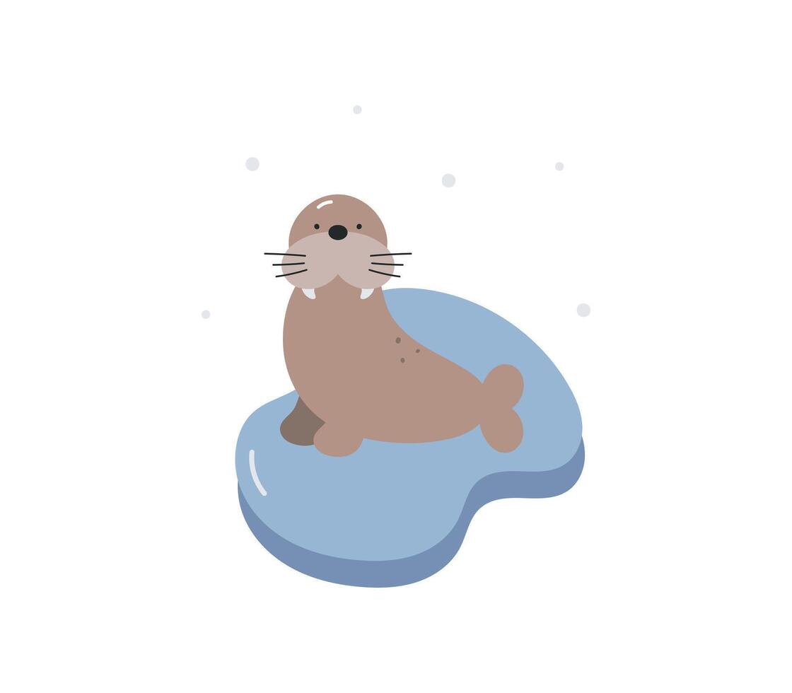 Print with cute walrus. Winter design. Cartoon flat illustration on white background. For card, posters, stickers, banners, printing on the pack, printing on clothes, fabric, wallpaper. vector