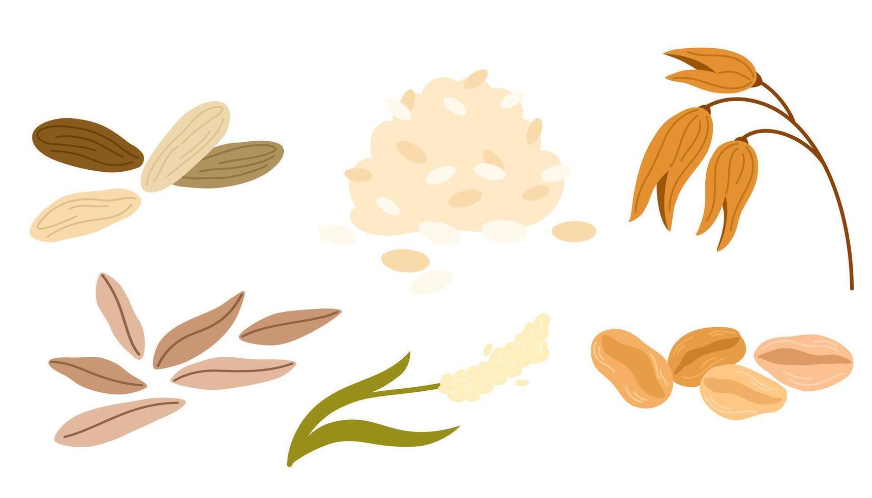 Cereal grain piles. Agricultural production, food or rustic natural plant, product crop heaps with scattered seeds of wheat, rye, oat. Cartoon Illustration isolated on white background. vector