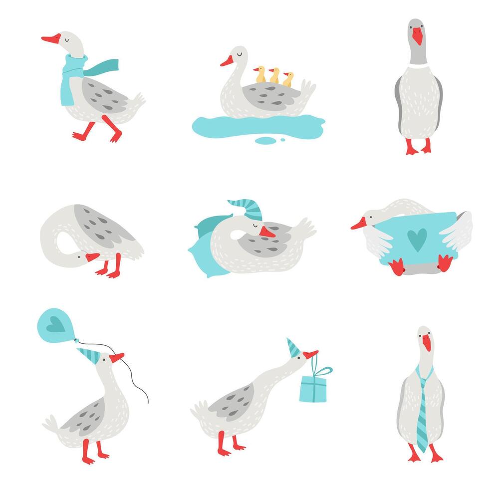 Collection of White Geese in Different Situations, Cute Birds Cartoon Characters Illustration vector