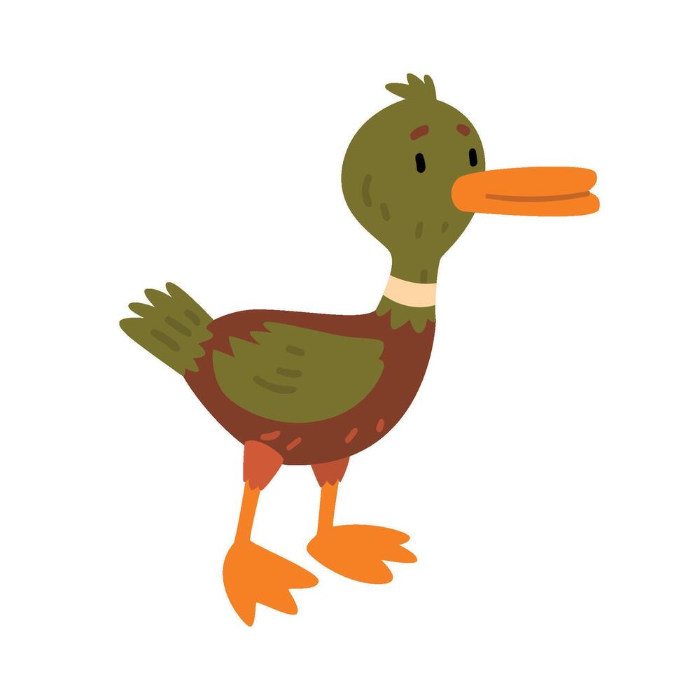 Male Mallard Duck, Cute Funny Duckling Cartoon Character Illustration vector