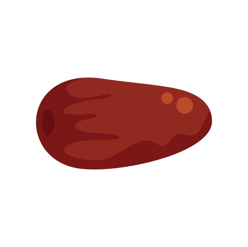 Sweet dried date fruit vector illustration presenting healthy food