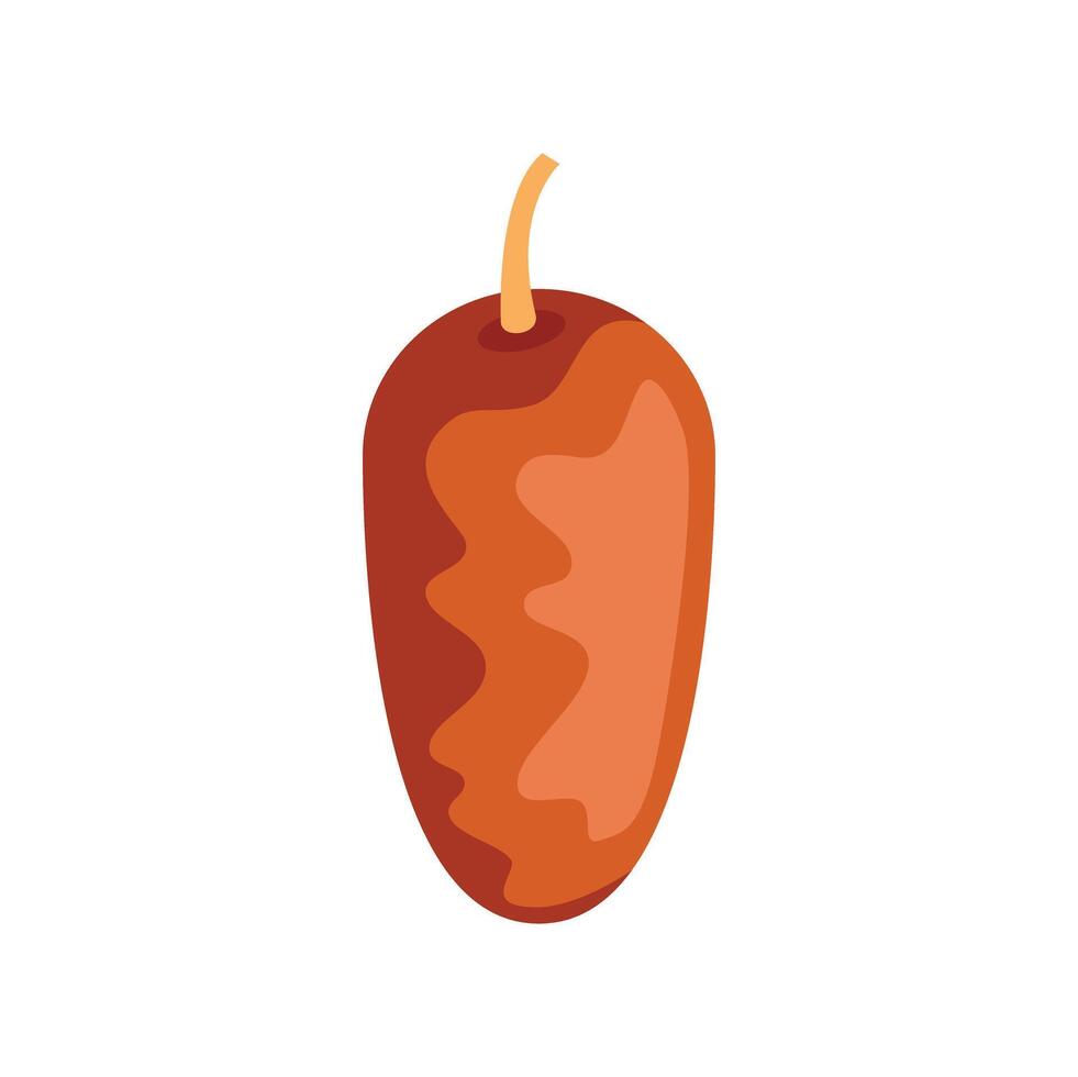 Single juicy date fruit showing its stone vector