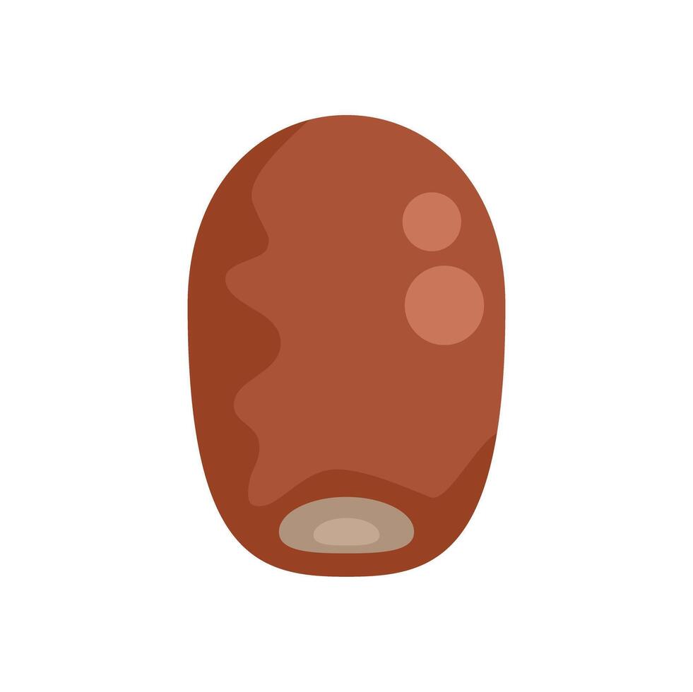 Single dried date fruit showing its stone vector