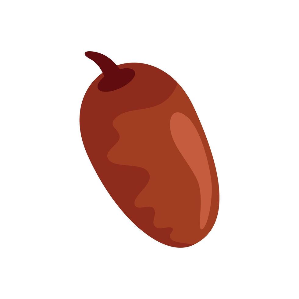 Single juicy date fruit with stem illustration vector