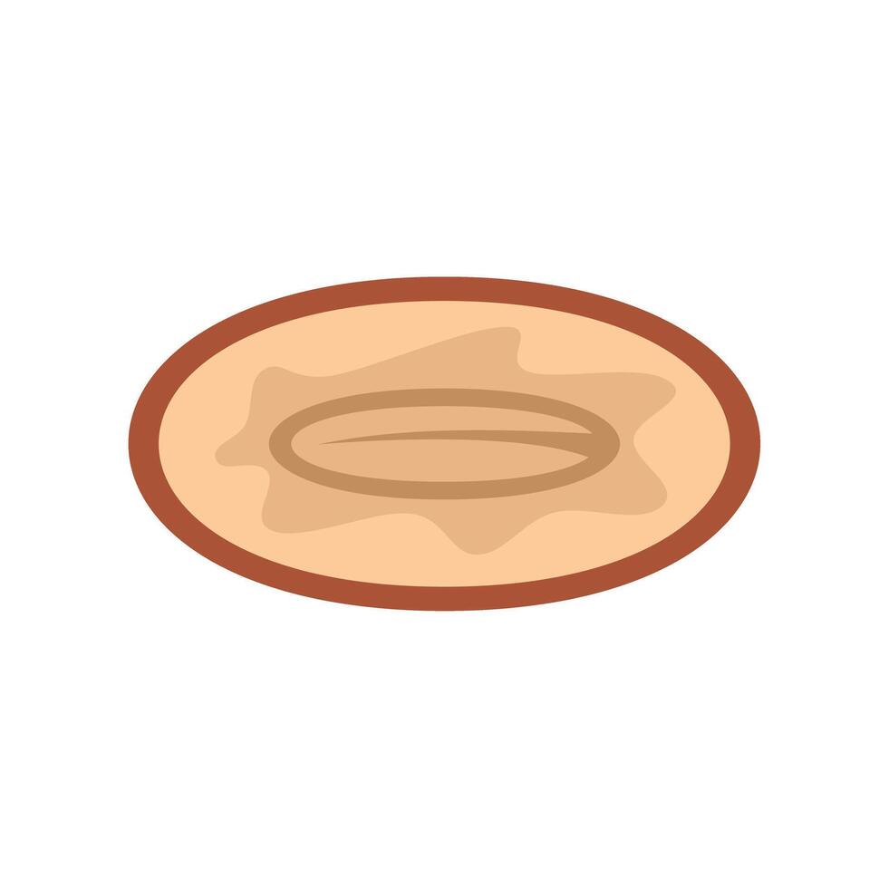Almond nut kernel showing seed inside brown shell icon vector