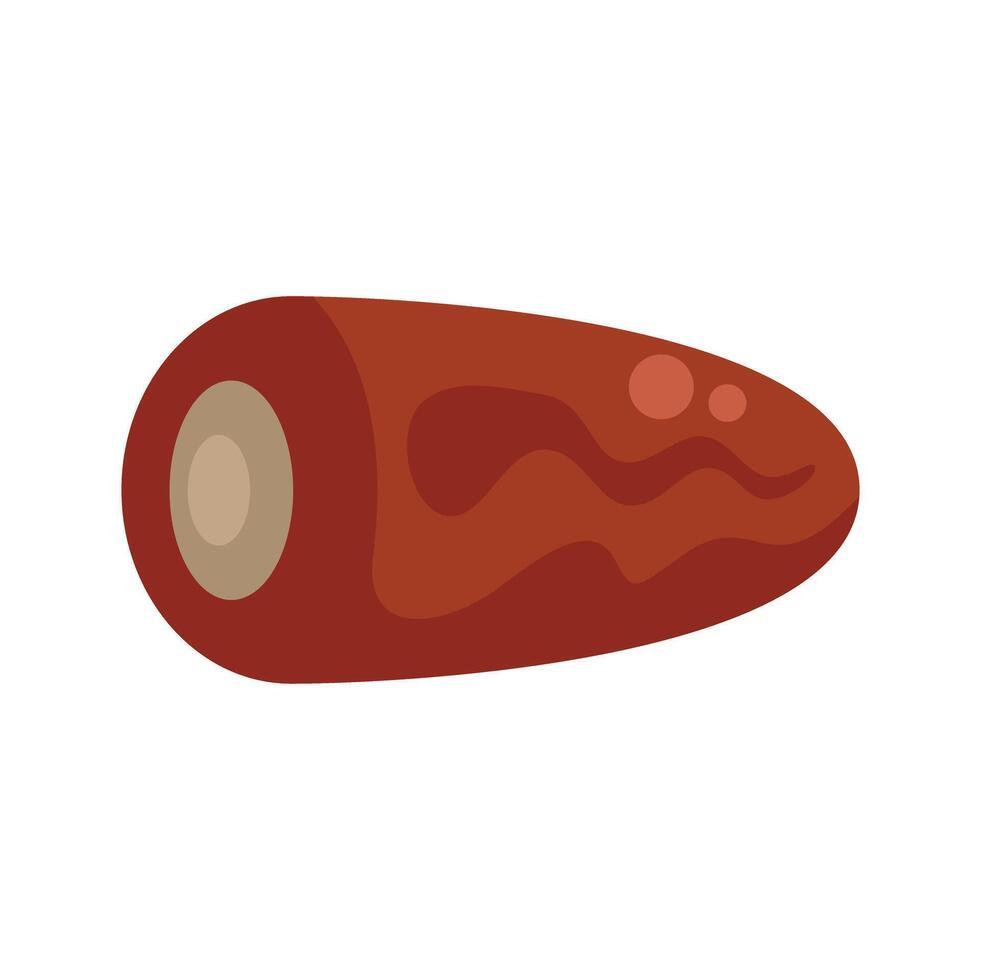 Single date fruit showing seed inside on white background vector