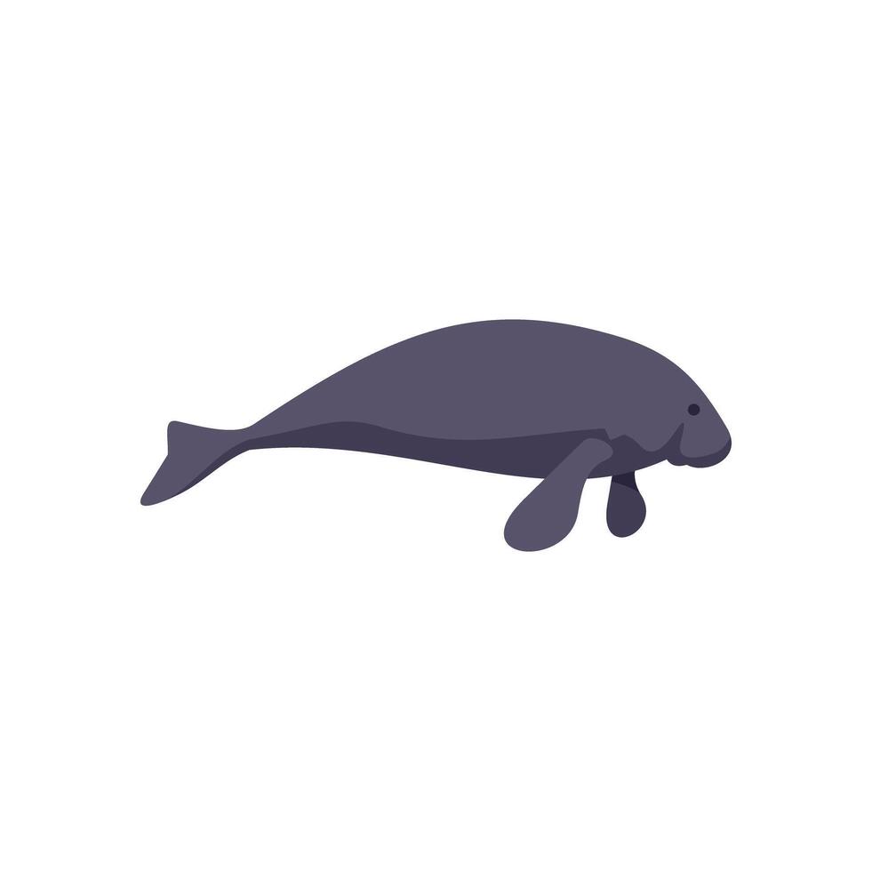 Large sea cow dugong swimming underwater side view vector