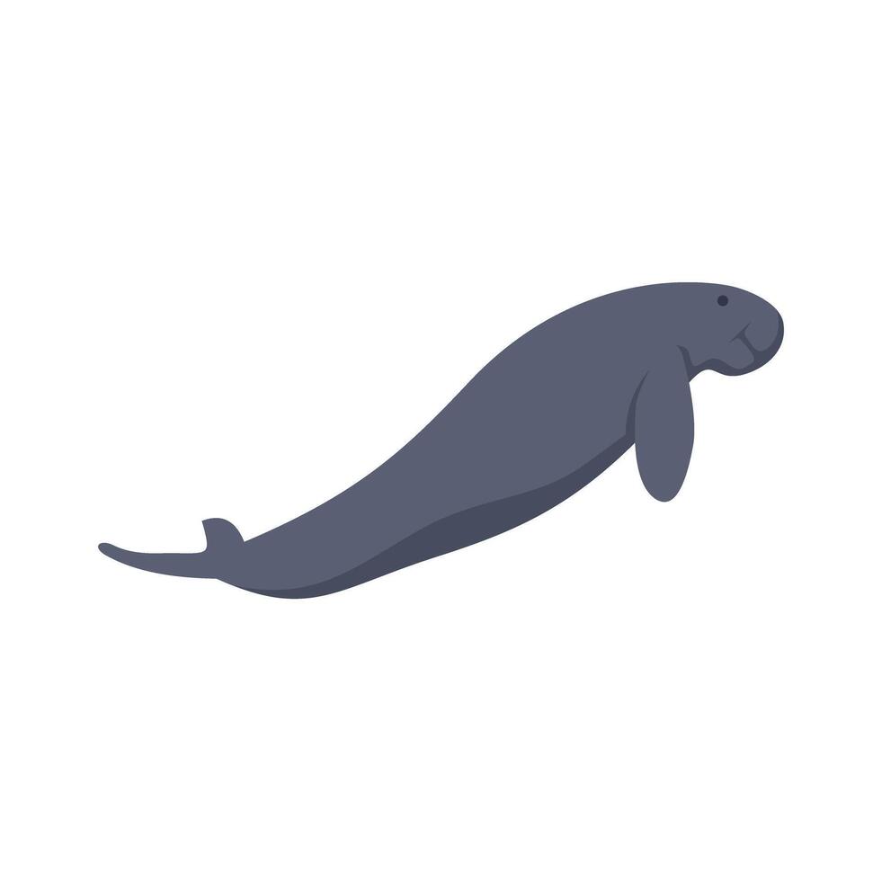 Large sea cow dugong swimming underwater gracefully vector
