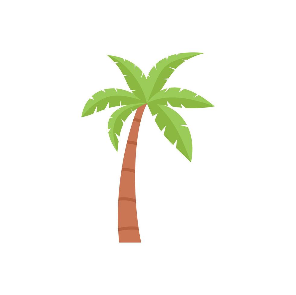 Green cartoon coconut palm tree standing alone on white background vector