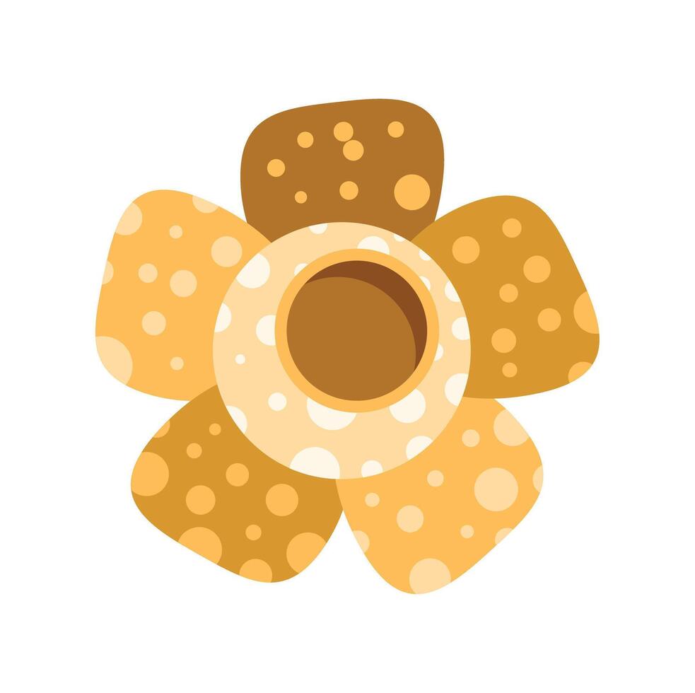 Rafflesia flower blooming showing its beauty and uniqueness vector