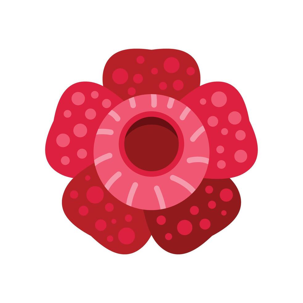 Rafflesia arnoldii flower blooming showing its hole vector