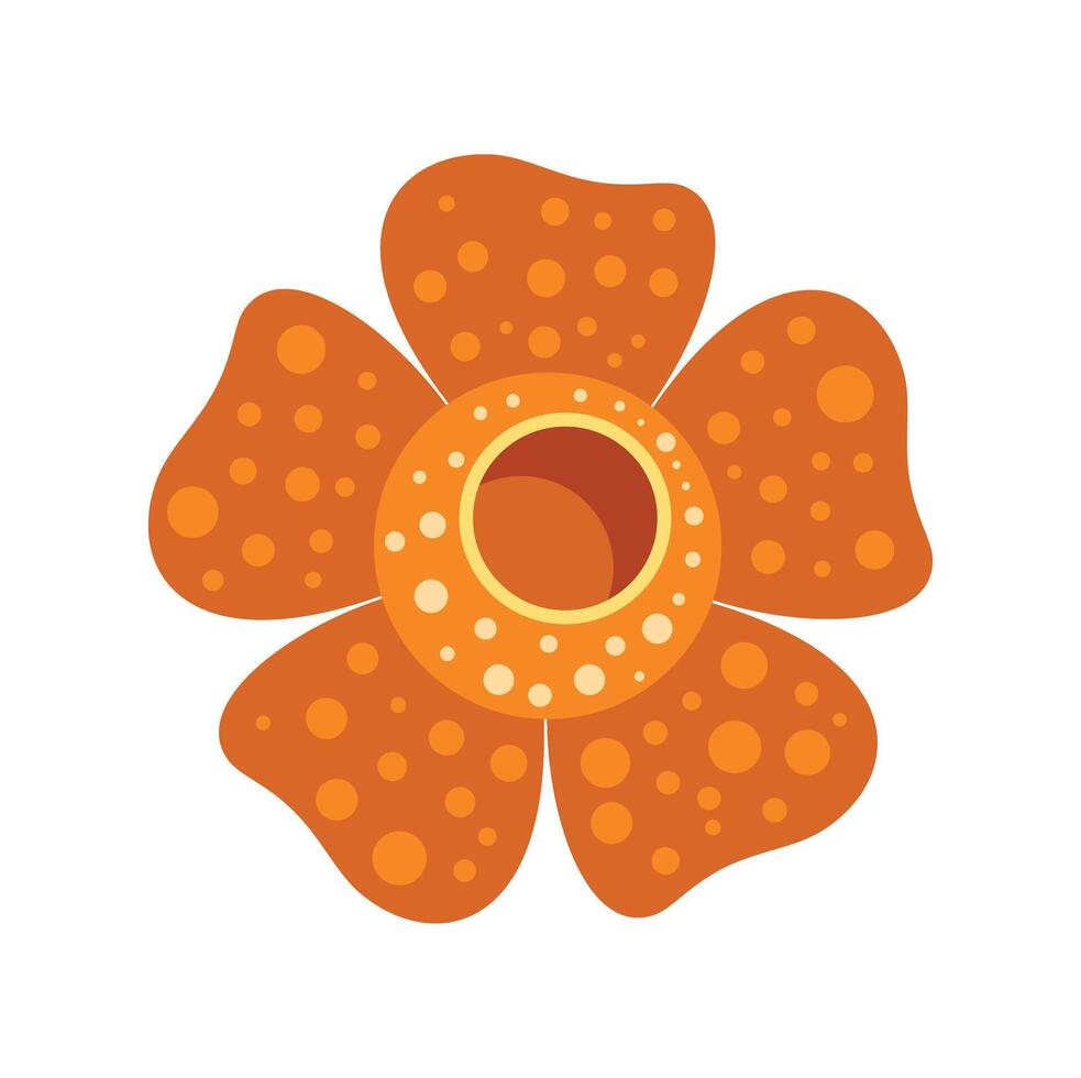 Rafflesia arnoldii flower blooming showing petals and hole vector