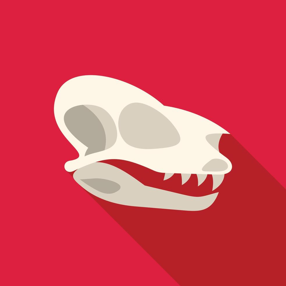 Dinosaur skull fossil showing sharp teeth on red background vector