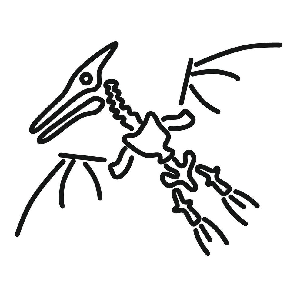 Pterodactyl fossil flying reptile skeleton drawing vector