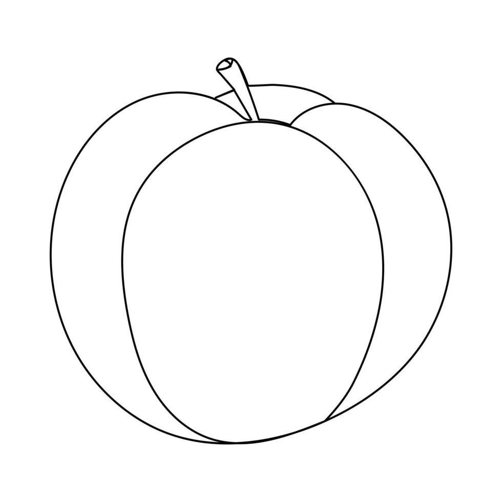 Peach Black and White stylized Illustration vector