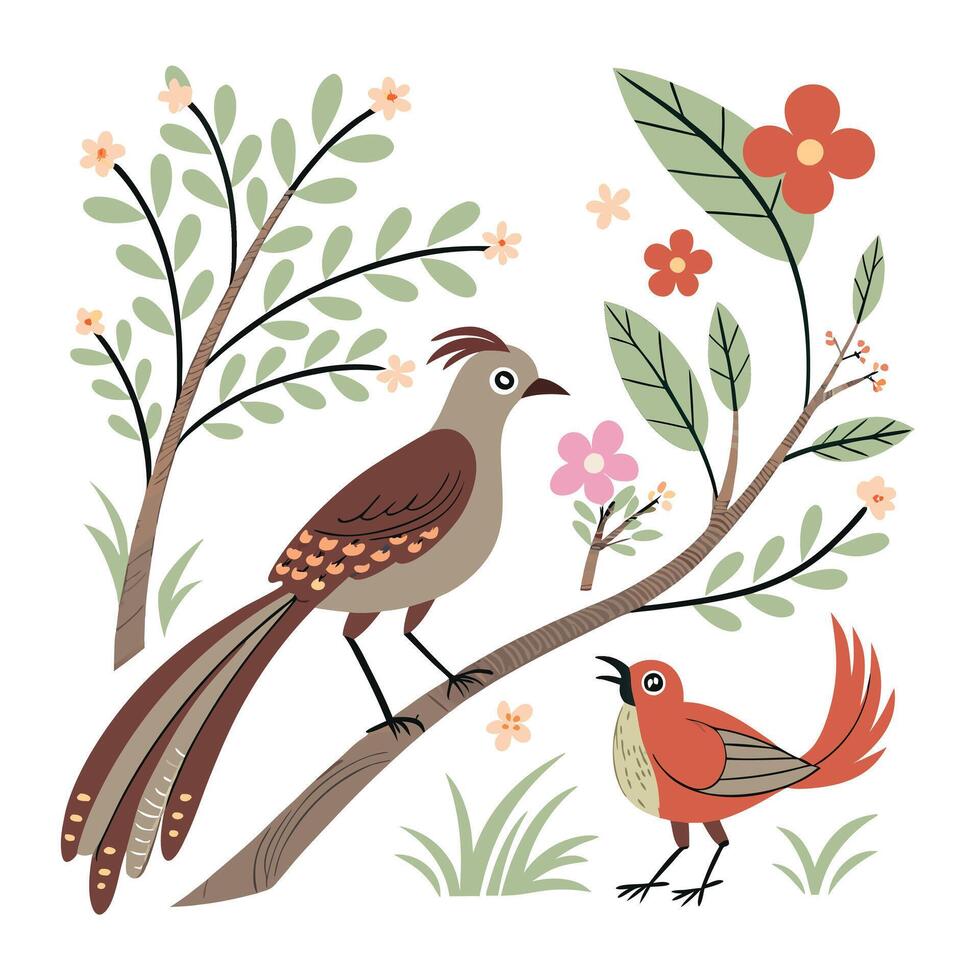 Creative Collection of various Bird's Illustration Design vector