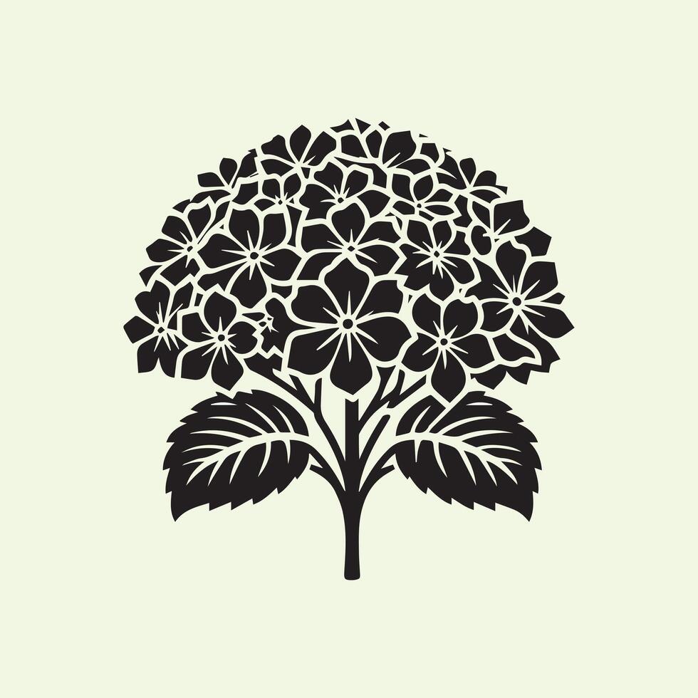 A Guide to Growing Colorful Garden Flowers vector