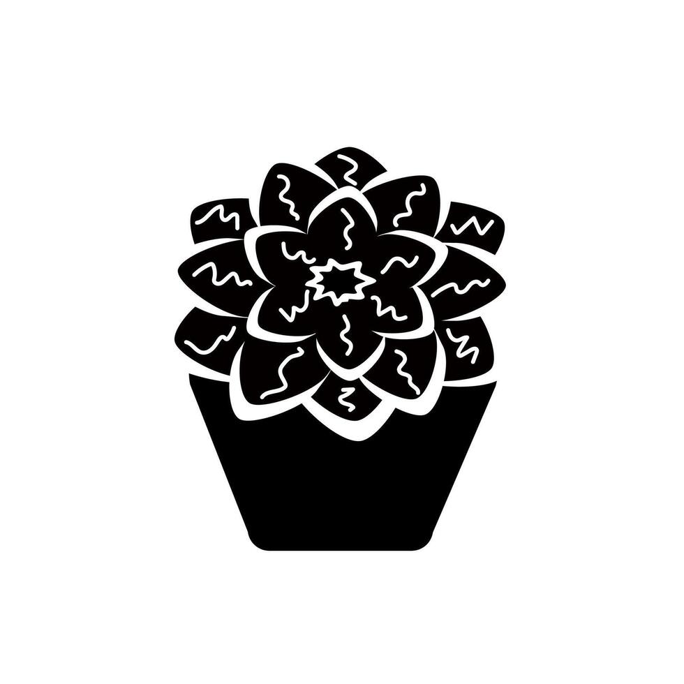 Black and white Blooming succulent of round shape in a pot vector