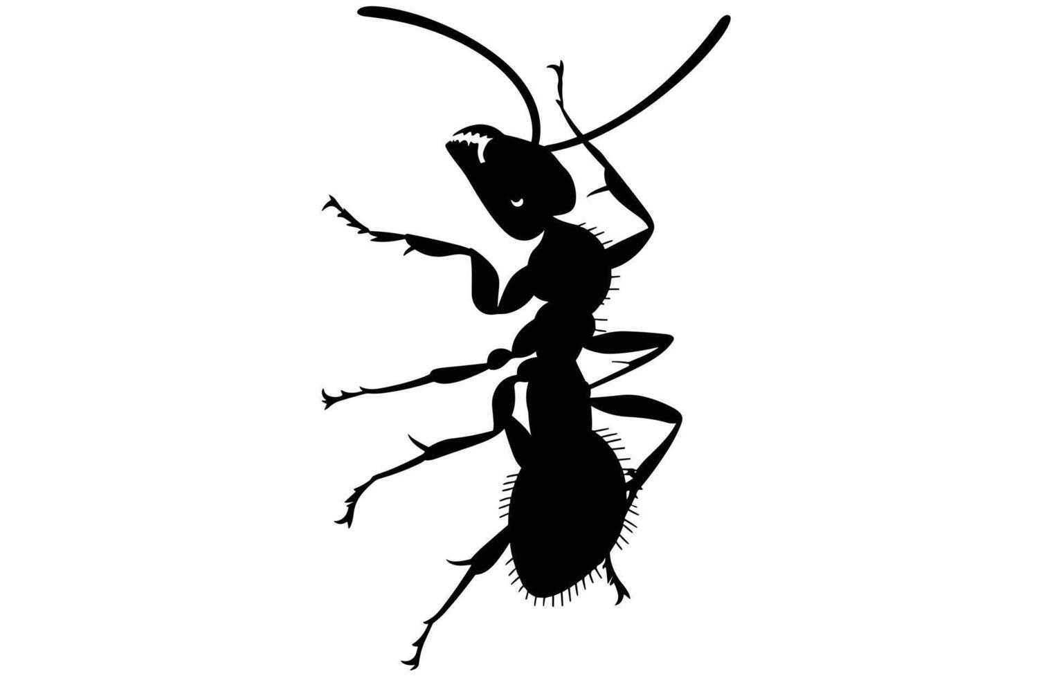 Cute Ant Silhouette - Minimal Insect Design vector
